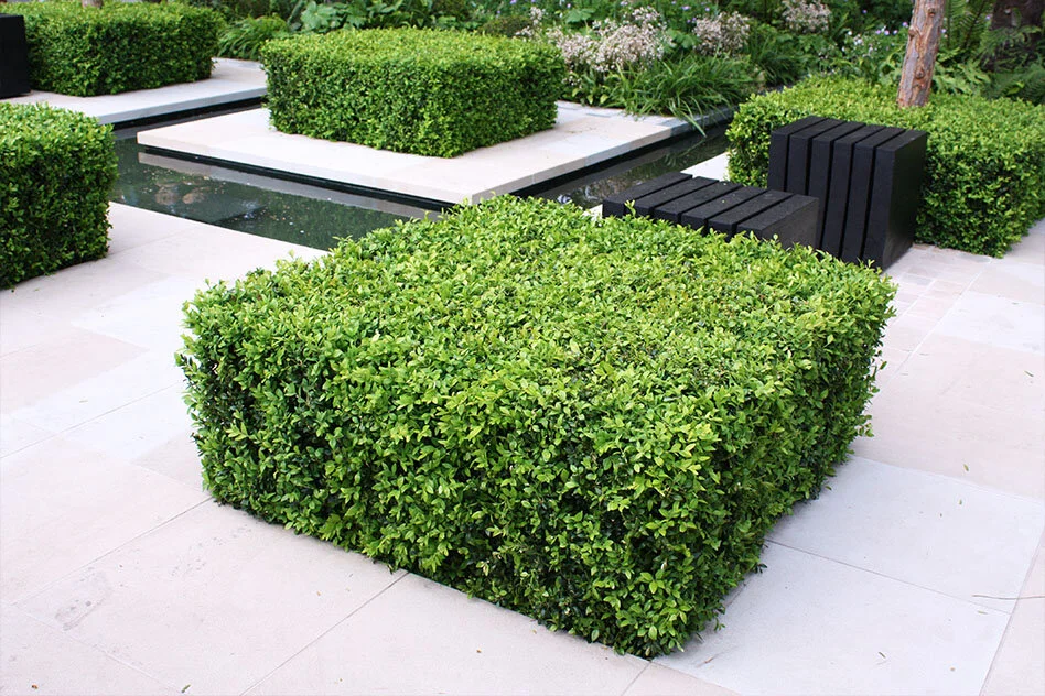 garden design essex 20.jpg