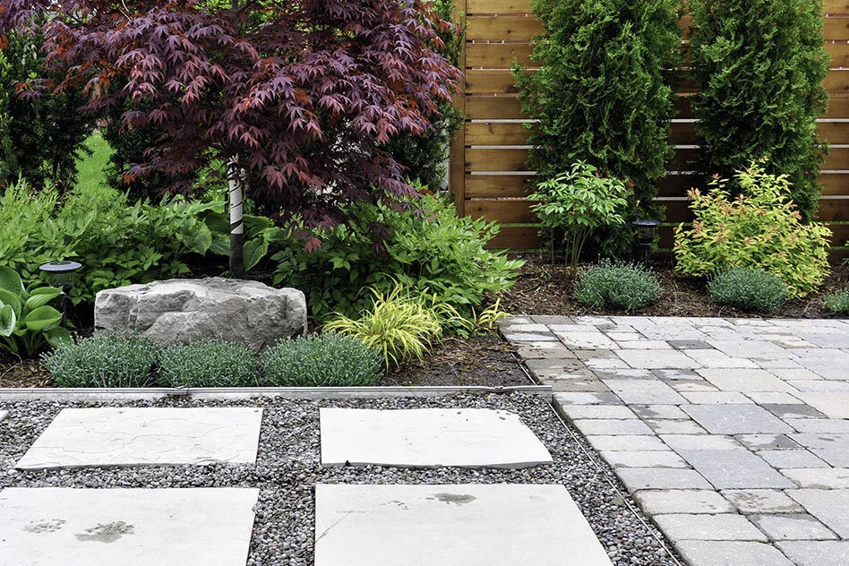 garden design essex 9.jpg