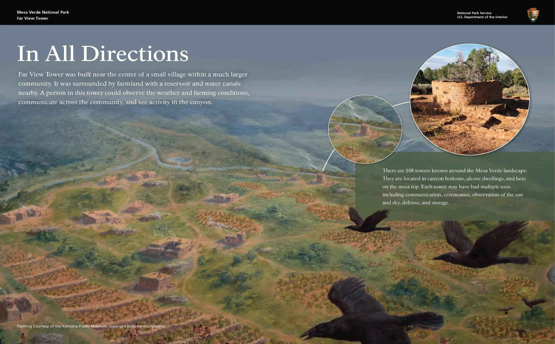 NPS-Portfolio Examples-02.jpg