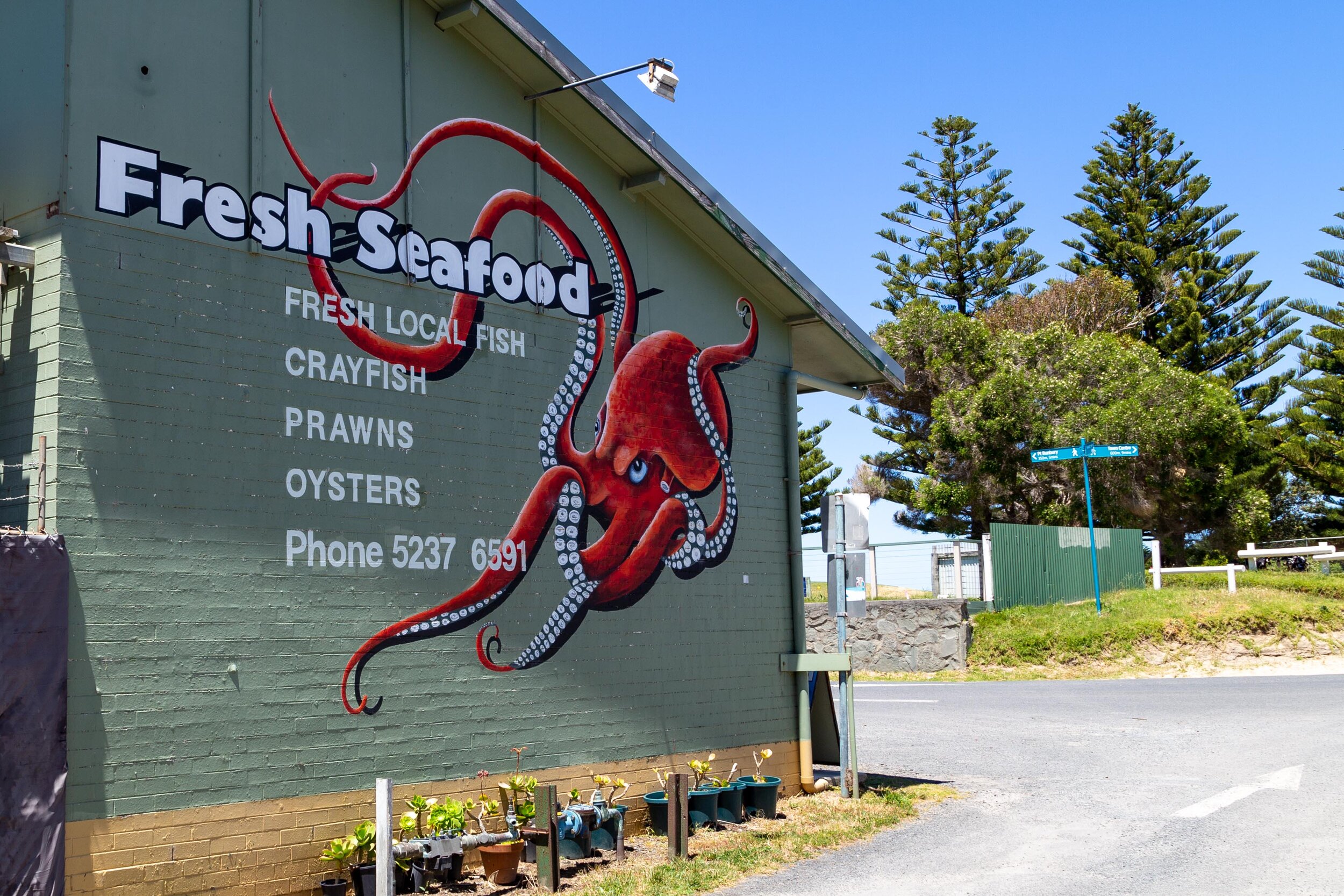 Apollo Bay Fishermans Co-op-6.jpg