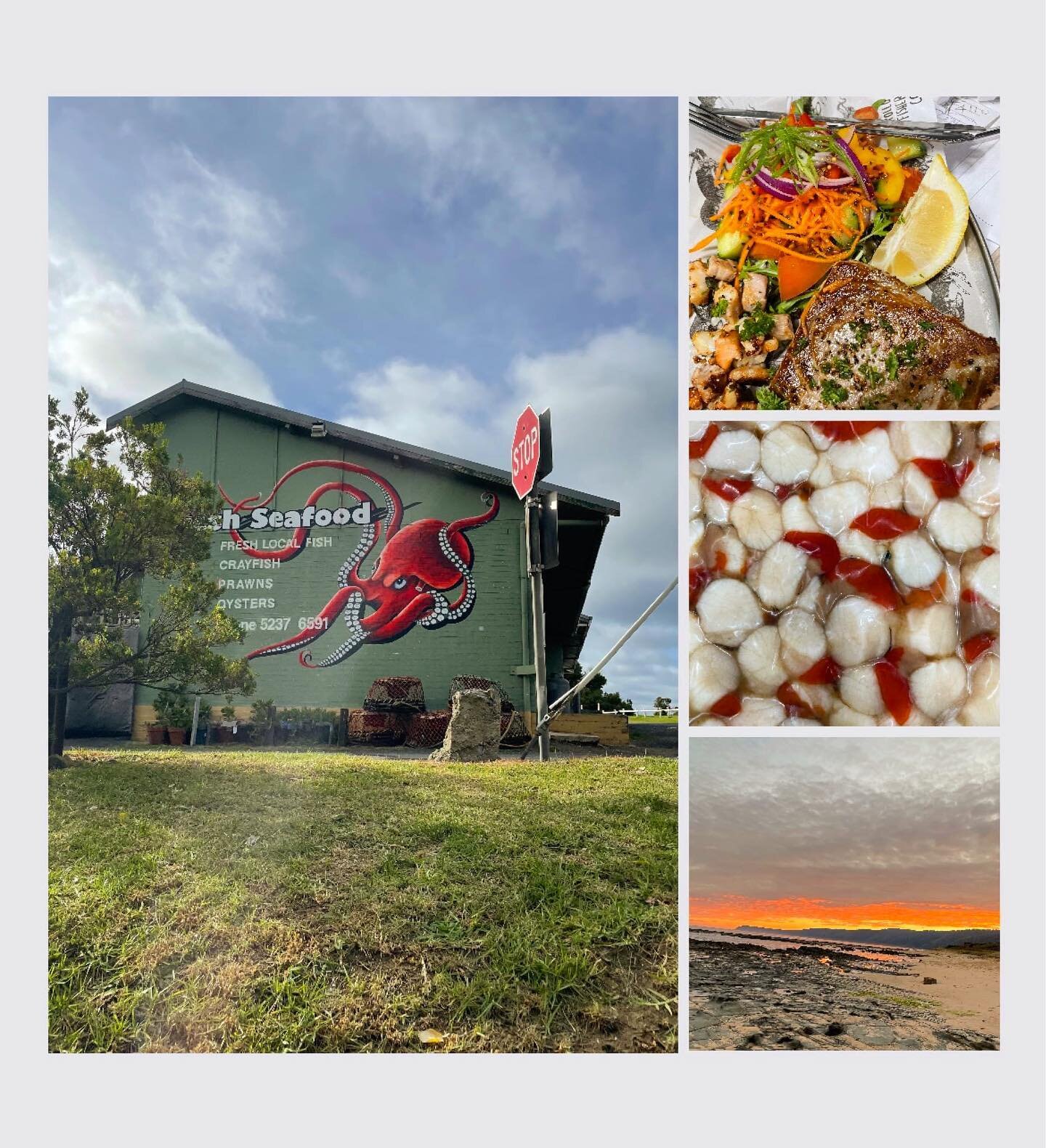 Good weekend coming up🌞
Co op on Pascoe has, Lobster, scallops, oysters, mussels, prawns,
Flake, rockling, salmon, dory,snapper fillets, gemfish, sardines, tuna.
Superb fish lunches and dinners at the harbour..
Thank you for your support.🐟🦞