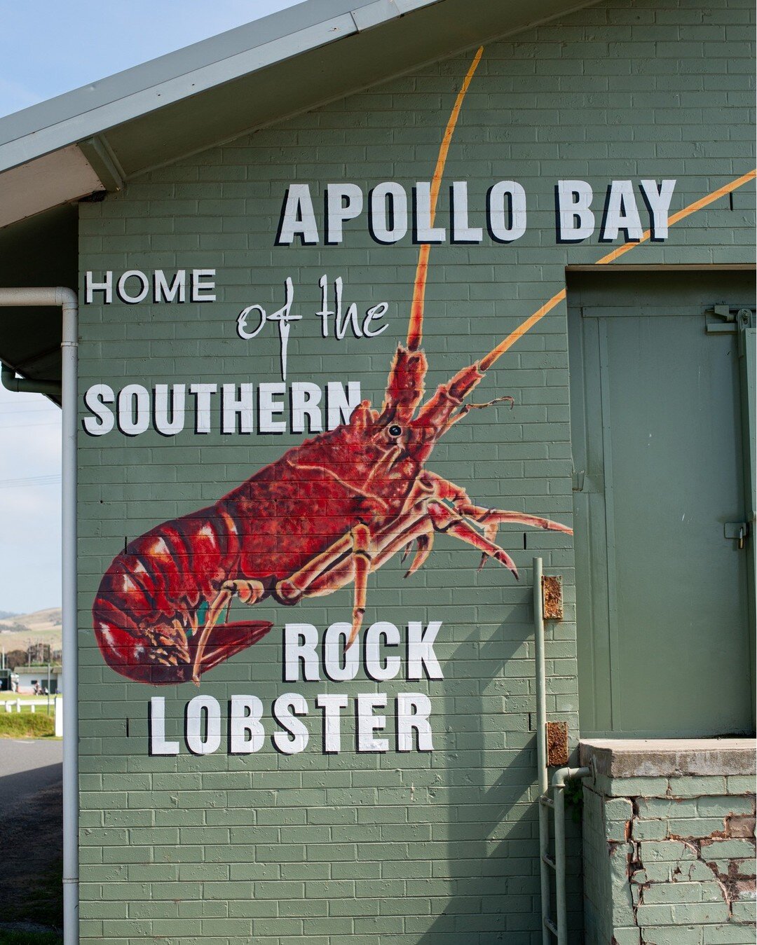 Home of the Southern Rock Lobster. 🦞 🤤

📸 apollo bay holiday park