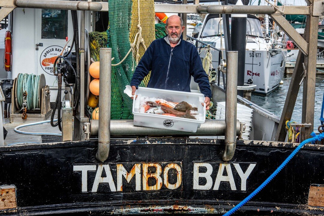 Have you signed up to our local catch club yet?

Be the first to hear updates via email about what comes off the boat so you have access to the freshest fish available - https://www.apollobayfishcoop.com.au/local-catch-club

📸@foodcornish