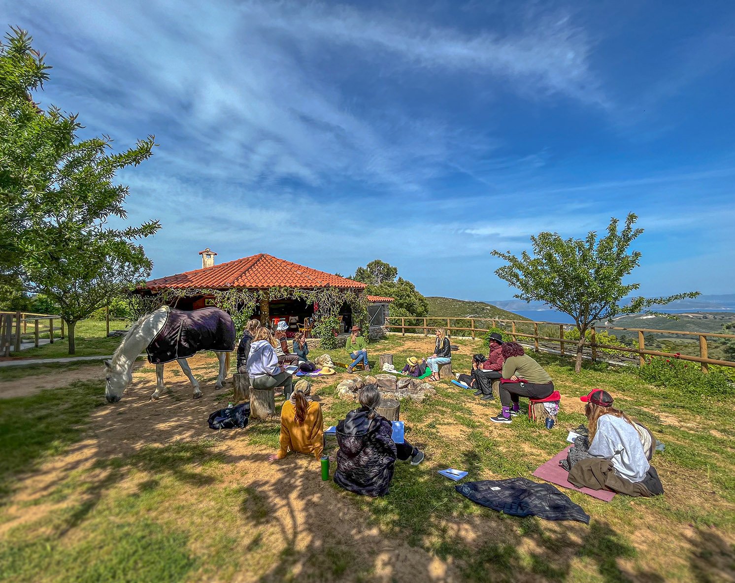 Introduction to Animal & Interspecies Communication Workshop (1/3)