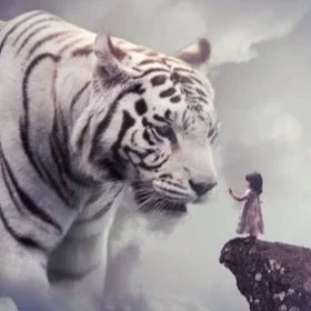 Haseya - a White Spirit Animal in Greece!