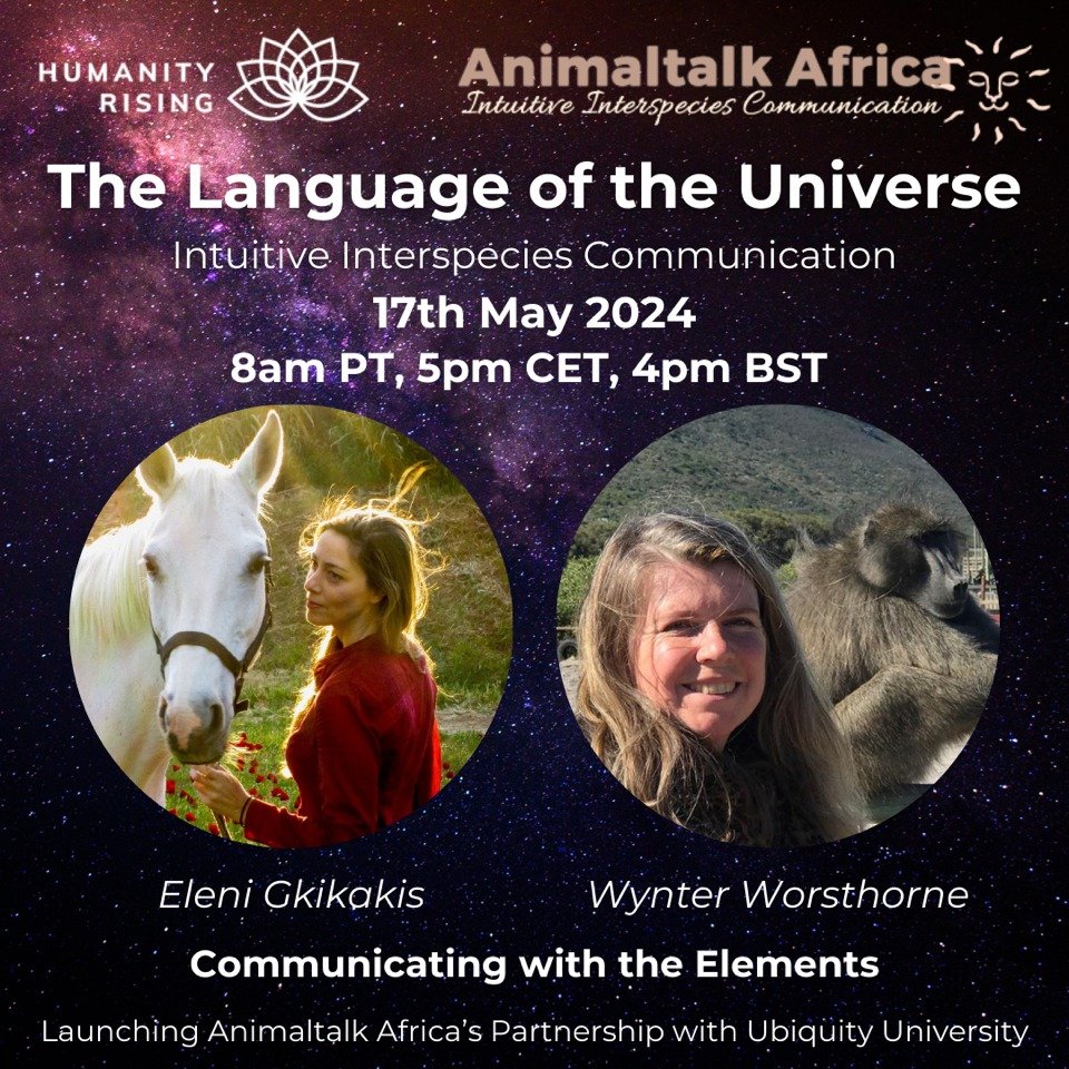 Today is the day!

This is @eleni_gkikakis  Intuitive #AnimalCommunicator and founder of #interspeciespeace 

Join me on Humanity Rising's platform for a groundbreaking series: &quot;Intuitive Interspecies Communication - The Language of the Universe