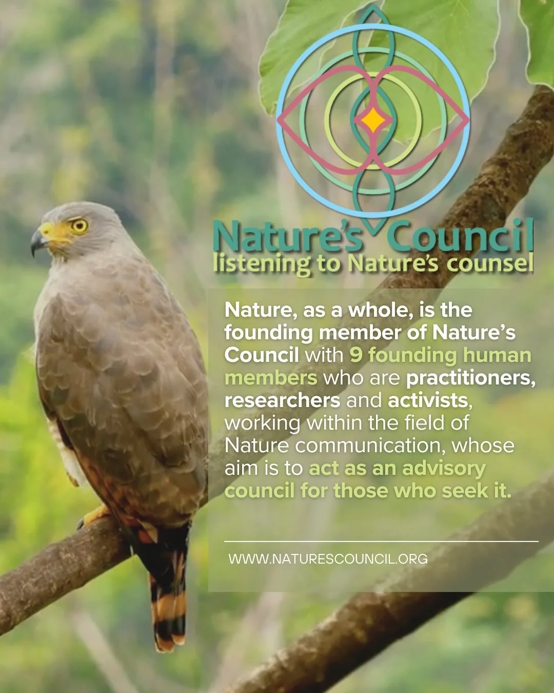 In an #animist worldview that perceives all of existence as conscious, Nature includes everything in the universe, as everything becomes everyone. The work of Nature&rsquo;s Council focuses on the Nature that is associated with Earth, physical and be