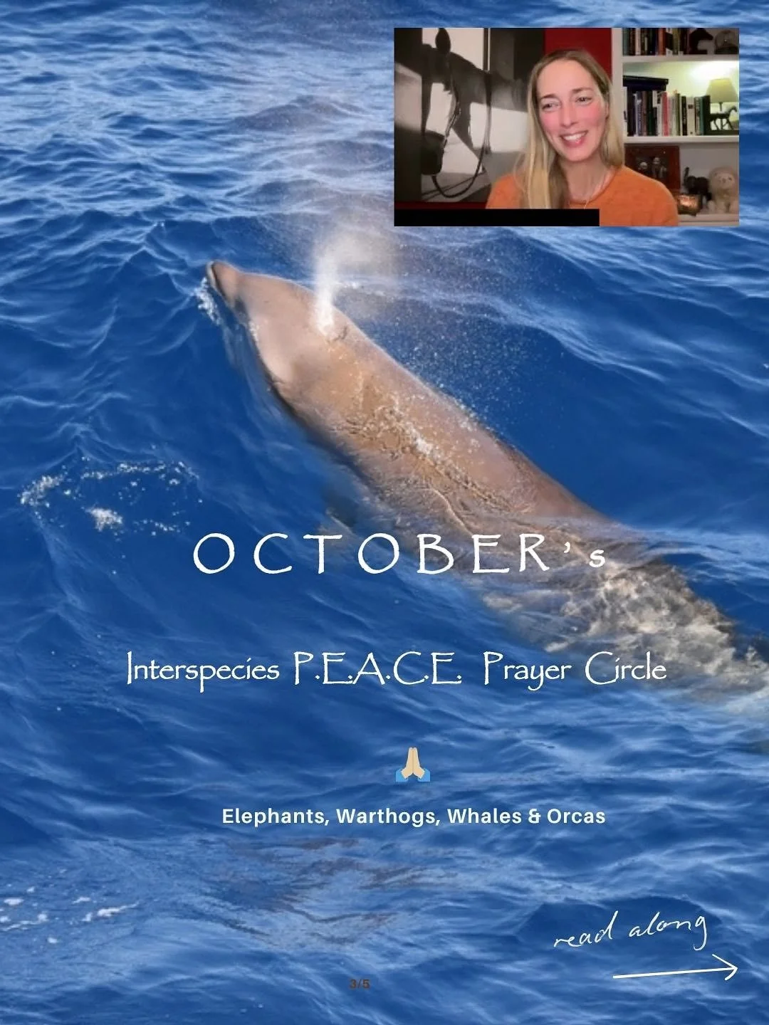 A tender moment between elephants and warthogs reminded us of what coexistence can look like.
Together in our Prayer Circle, we sent protection, support &amp; assistance across all fields&mdash;without barriers.

Thank you for being part of our Octob