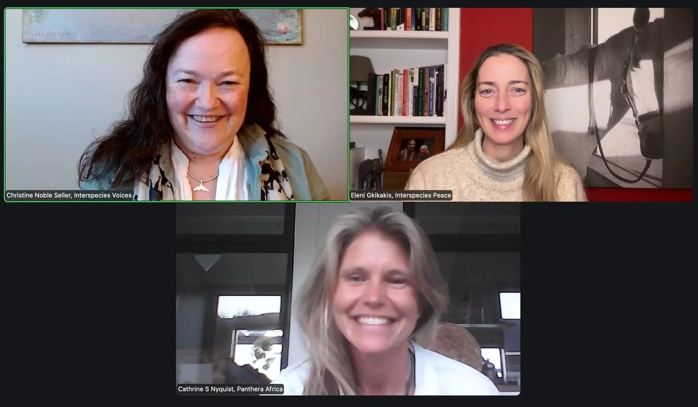 Still feeling deeply moved after our Live Q&amp;A gathering, offered as a free gift following the Dreaming the New Earth panel on Intuitive Interspecies Communication and its Role in Conservation 🌿 
What emerged in this space went far beyond questio