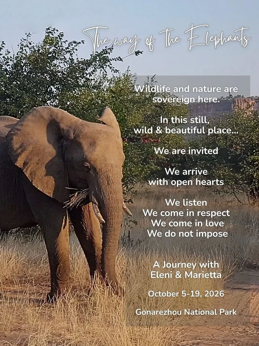 A Journey with the elephants with  @eleni_gkikakis &amp; @mariettavanderwerff , where together we explore how to live in conscious communication, heart to heart, essence to essence, healing and expanding together on this planet?
We will communicate w