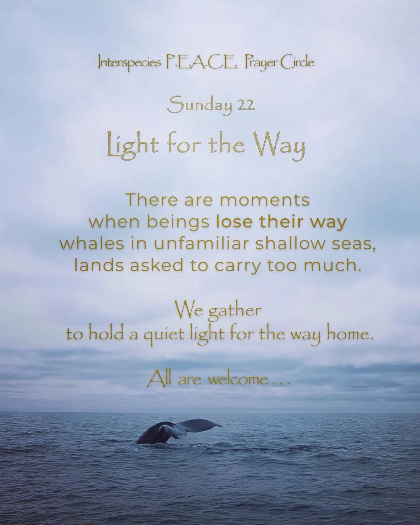 Looking forward to seeing you all this Sunday February 22 as we light the way. There are moments when beings lose their way, whales in unfamiliar waters, lands asked to carry too much.
Click on link in bio (P.E.A.C.E. Prayer Corcle) to register and j