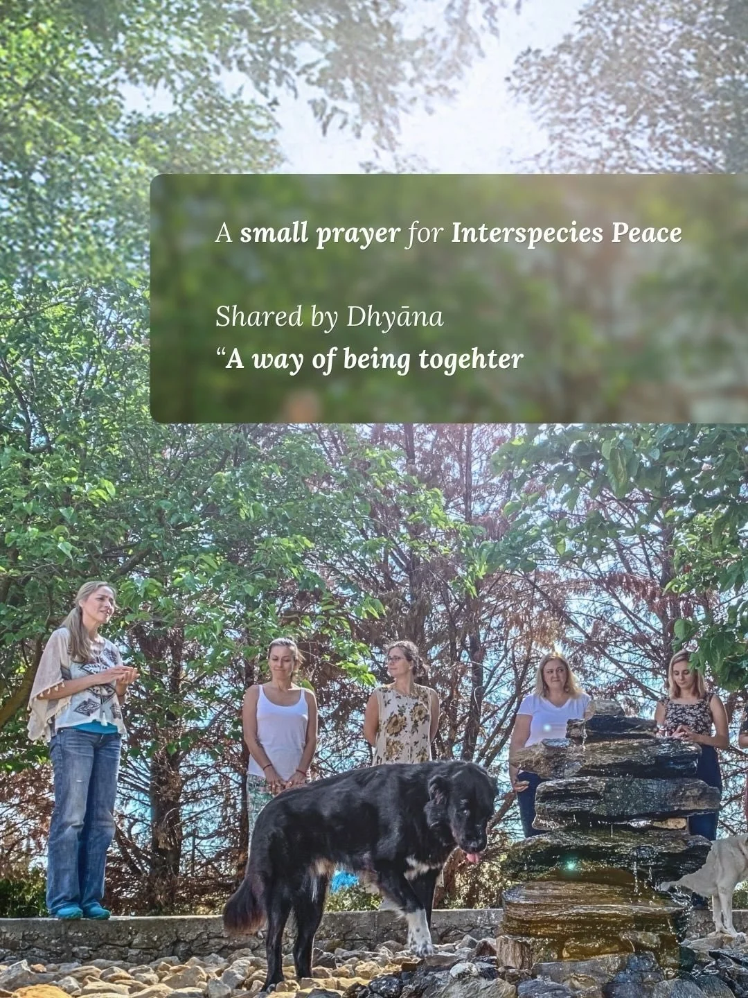 A small prayer for interspecies peace
A way of being together such that we can wake up with hope and intent to see and receive the beauty, the delicacy, the mystery, and the teachings of the natural world.

So that we can wake up to conscious,
loving