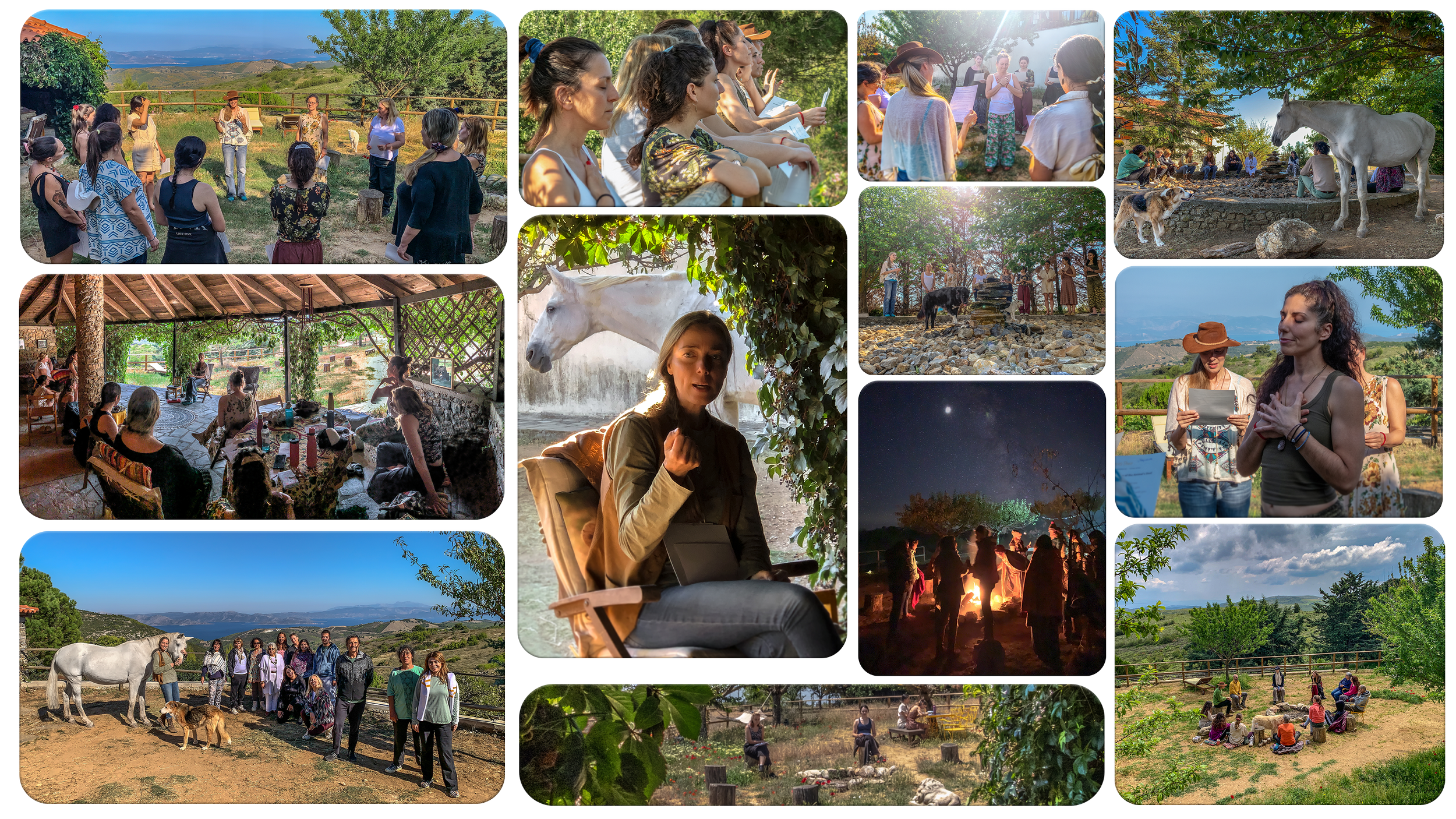 2026 EUROPE TOUR ~ Animal Communication Workshops 