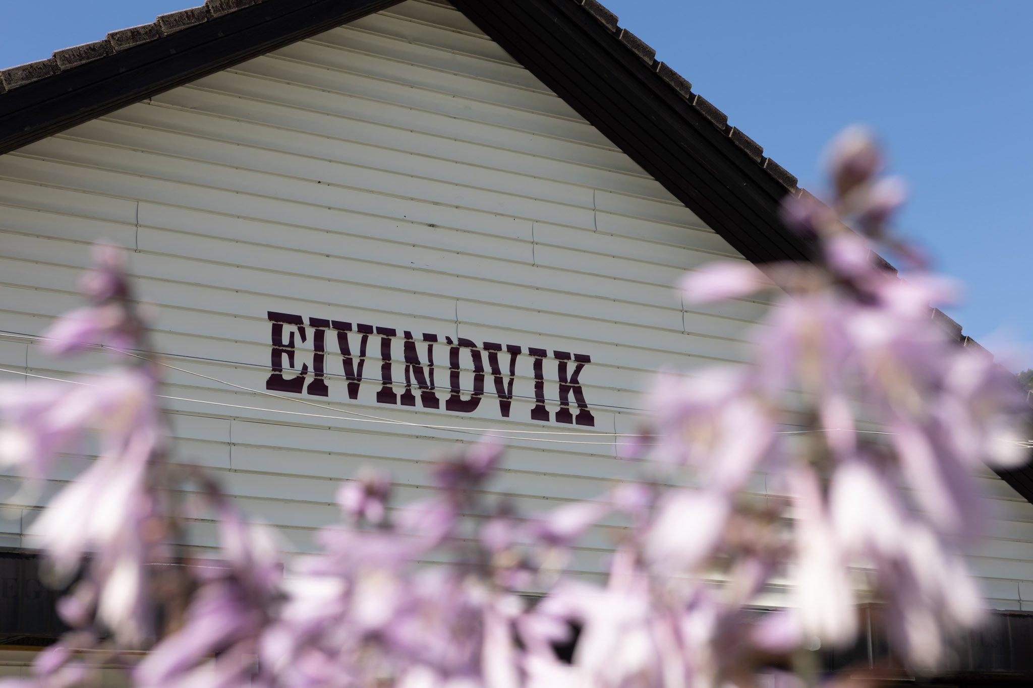 eivindvik-02.jpg