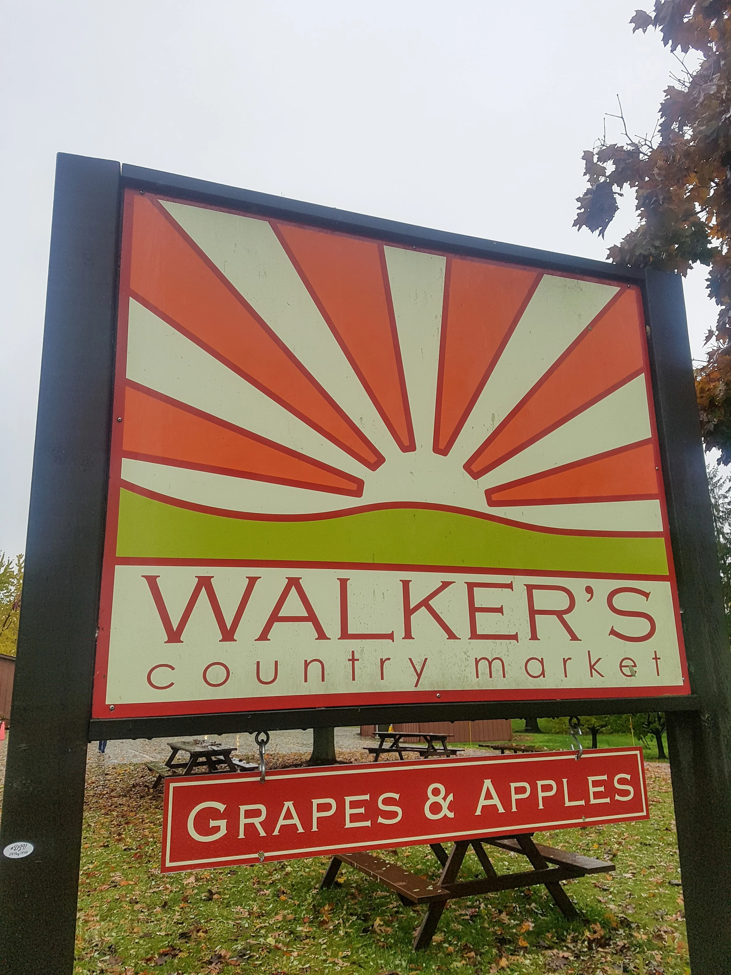 The 7 Best Things to do near Niagara Falls in 2022 + Interactive Map! Thoroughly Travel