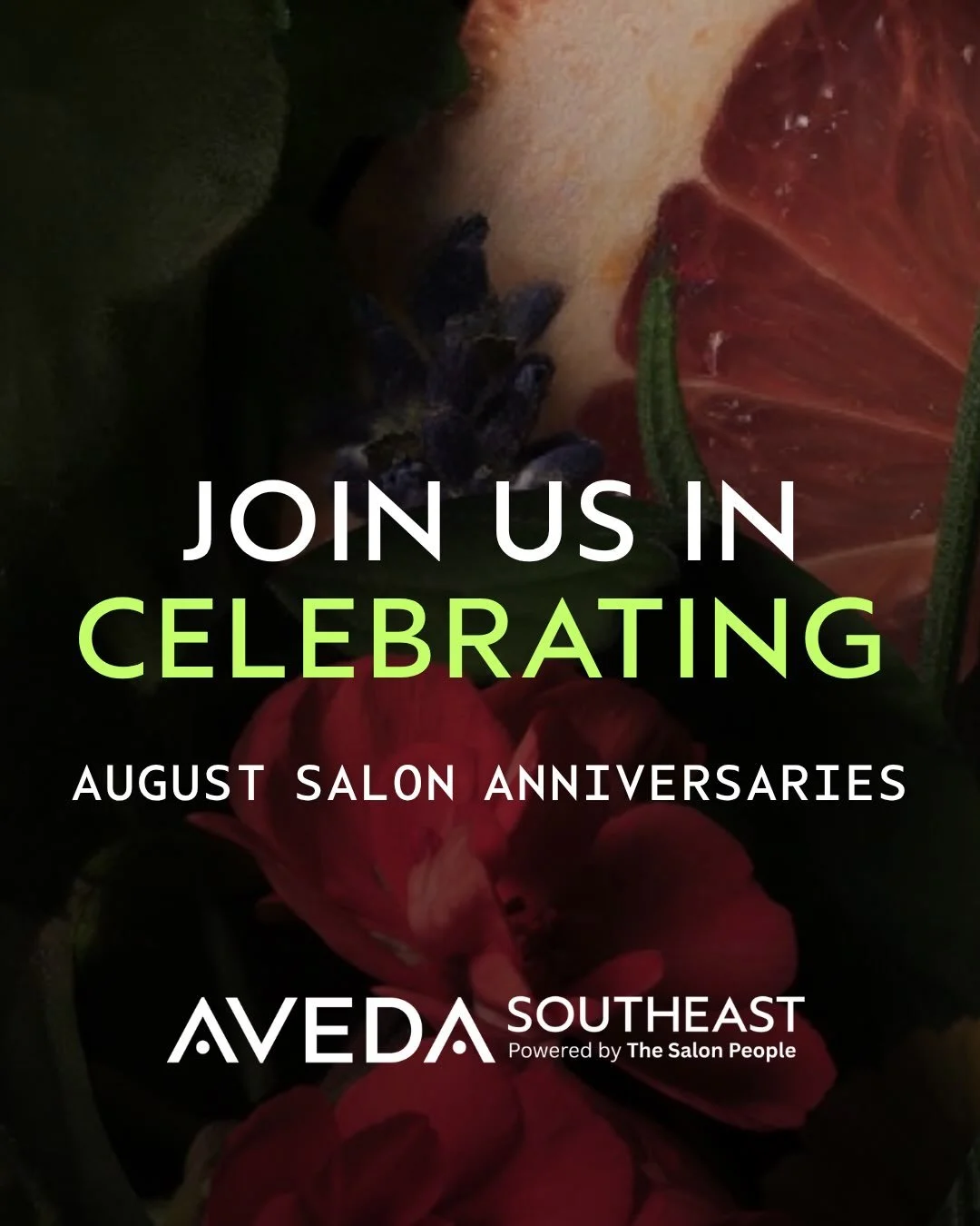 🖤 Celebrating Our August Salon Milestones 🖤

Today, we&rsquo;re celebrating the incredible salons in our network reaching milestone anniversaries! Your leadership, passion, and commitment to care embody everything Aveda stands for - artistry, purpo