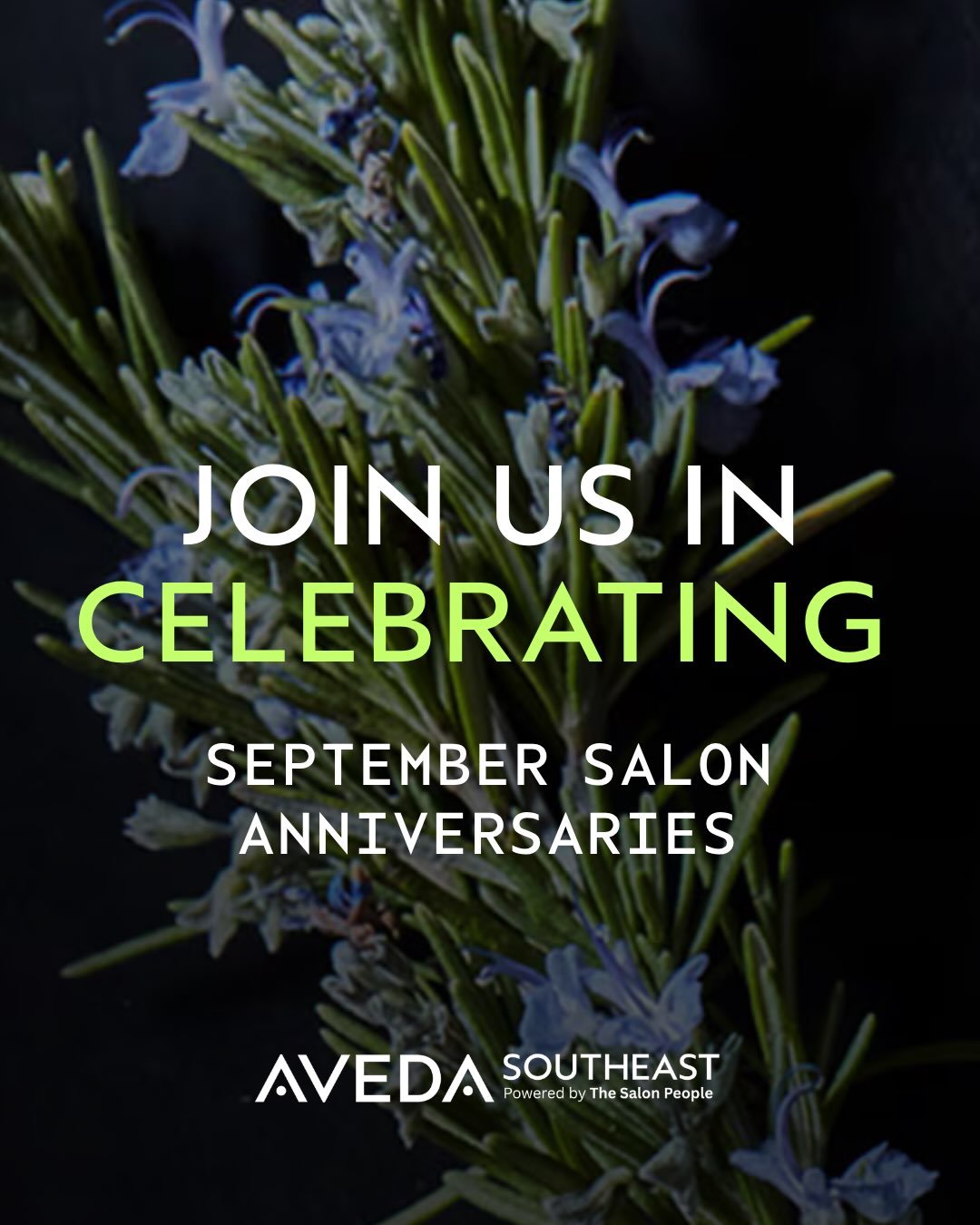 🖤 Celebrating Our September Salon Milestones 🖤

Today, we&rsquo;re celebrating the incredible salons in our network reaching milestone anniversaries! Your leadership, passion, and commitment to care embody everything AVEDA stands for - artistry, pu