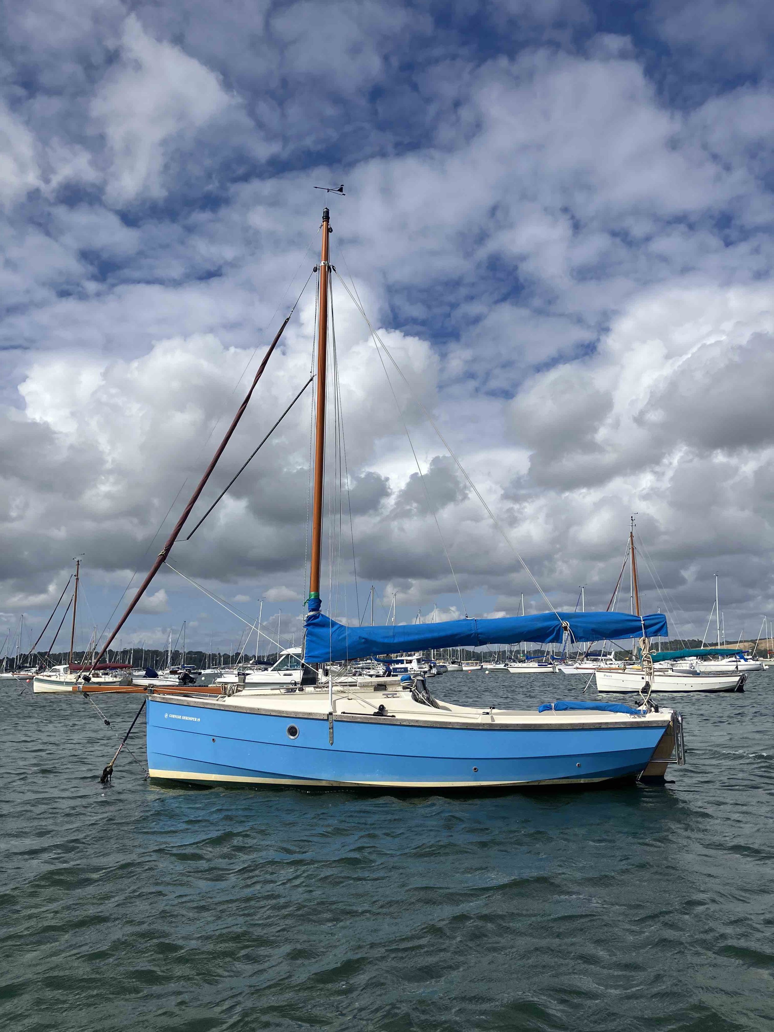 Cornish Shrimper 19 - Lupin