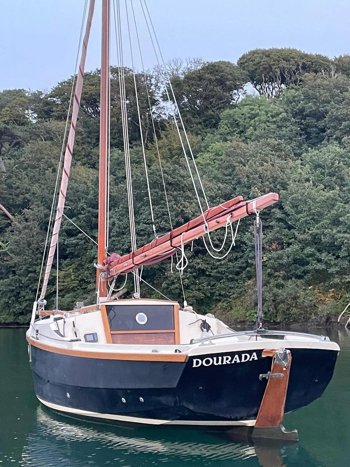 Dourada 6.jpeg