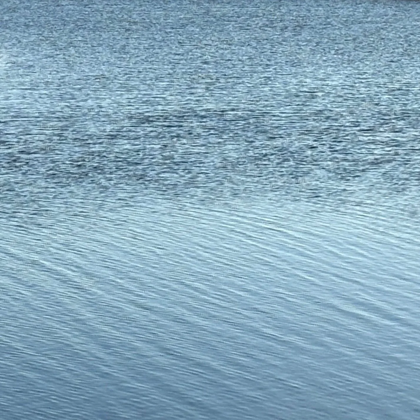 Calm estuary of water 