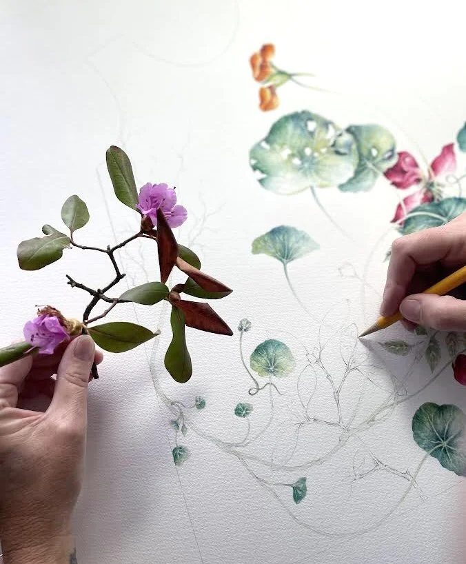 Delicate and thoughtful drawing of Azalea flowers