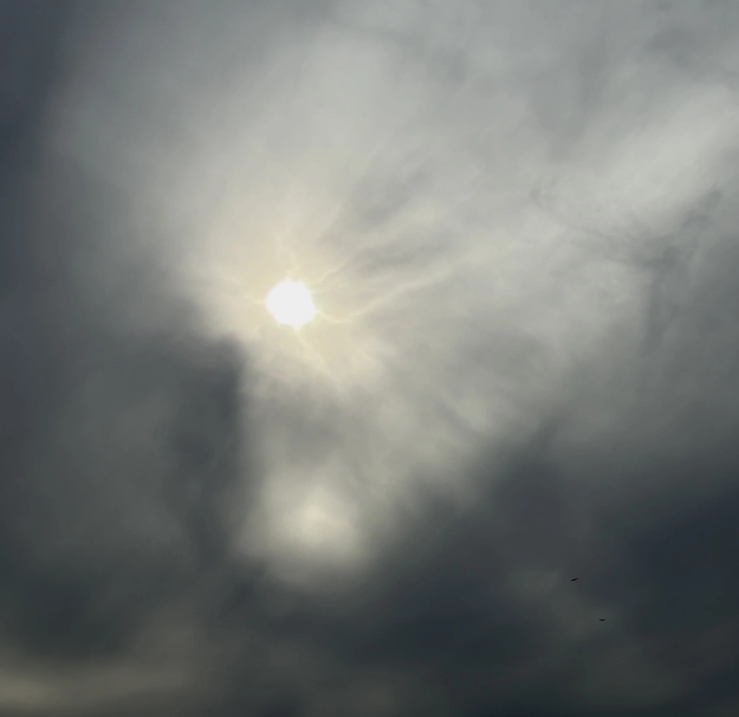 Overcast sky with the sun partially obscured by thick clouds and a few birds flying in the distance.