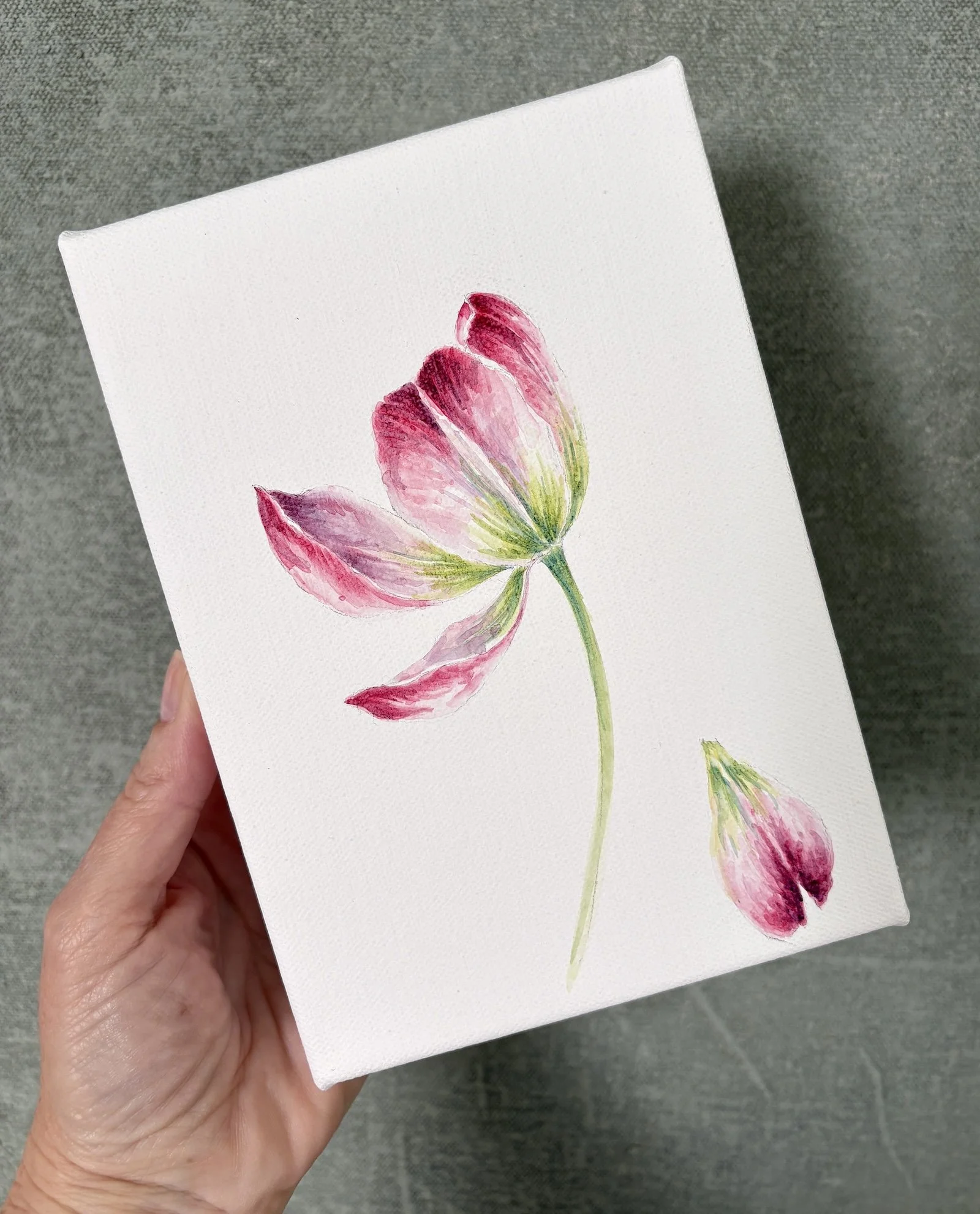 TULIP HOLDING.jpg