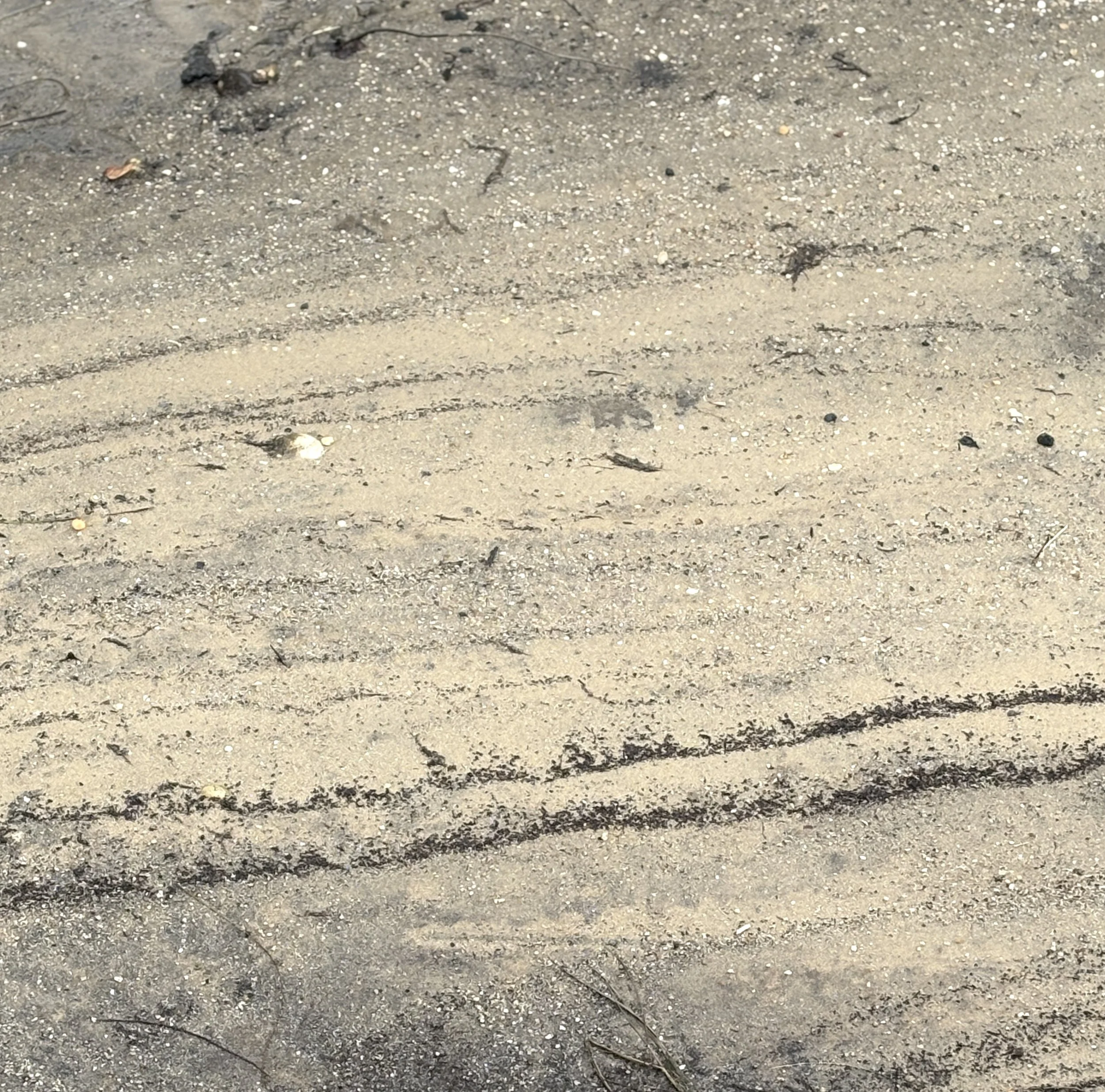 Close-up of sandy ground with tidelines small rocks.