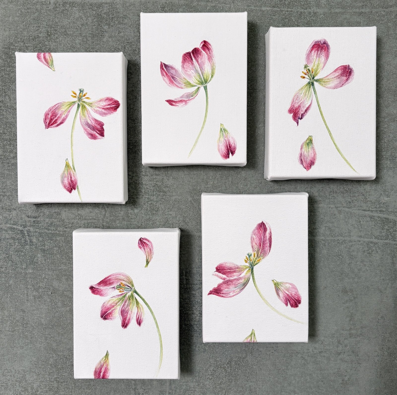 TULIPS ALL.jpg