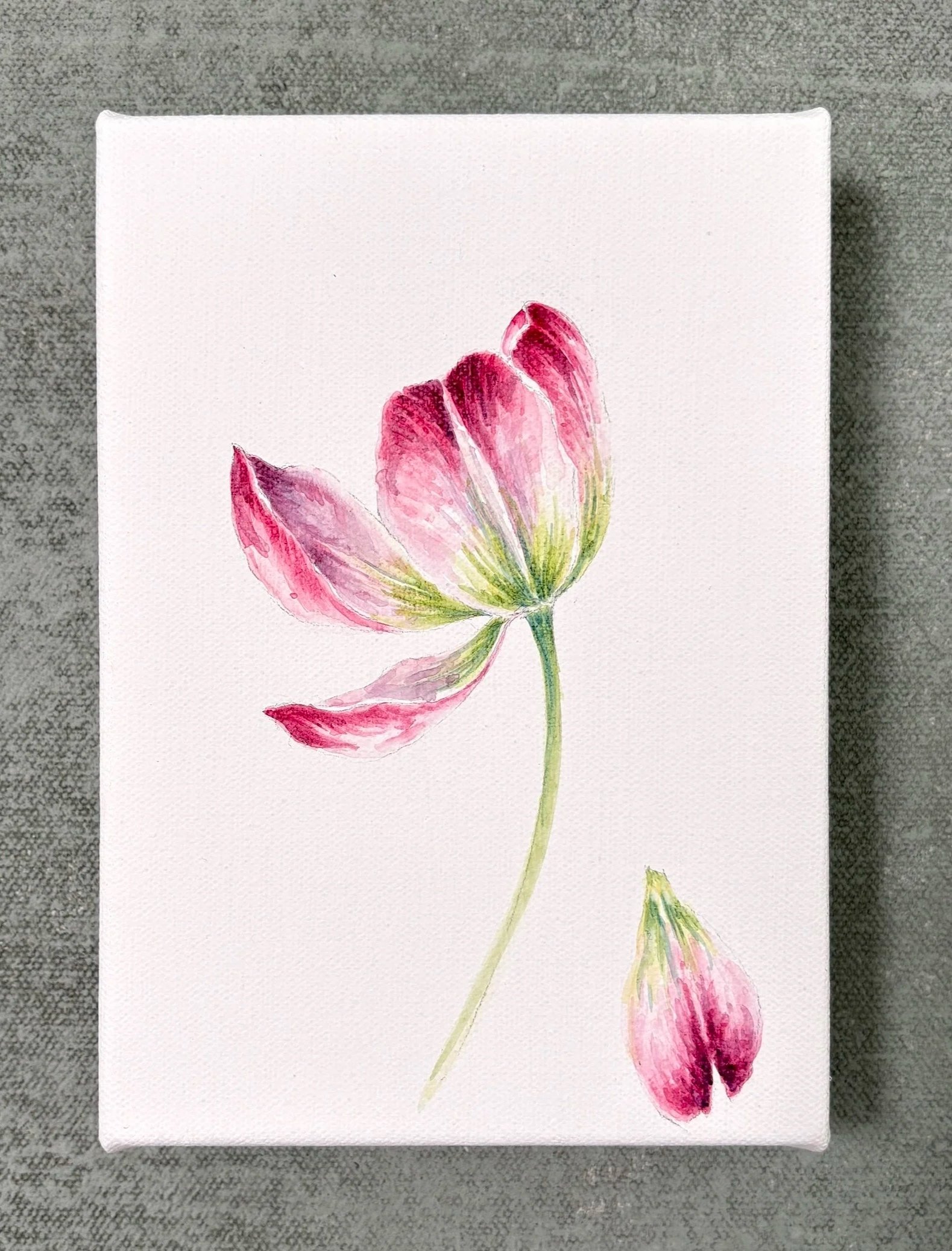 TULIP+II+FULL.jpg