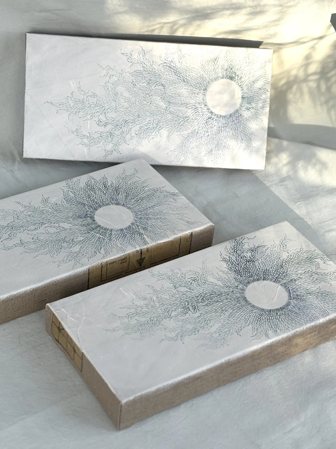 Three white boxes and a rectangular package with a sun and feather-like pattern on the packaging, placed on a soft surface with shadows and sunlight.