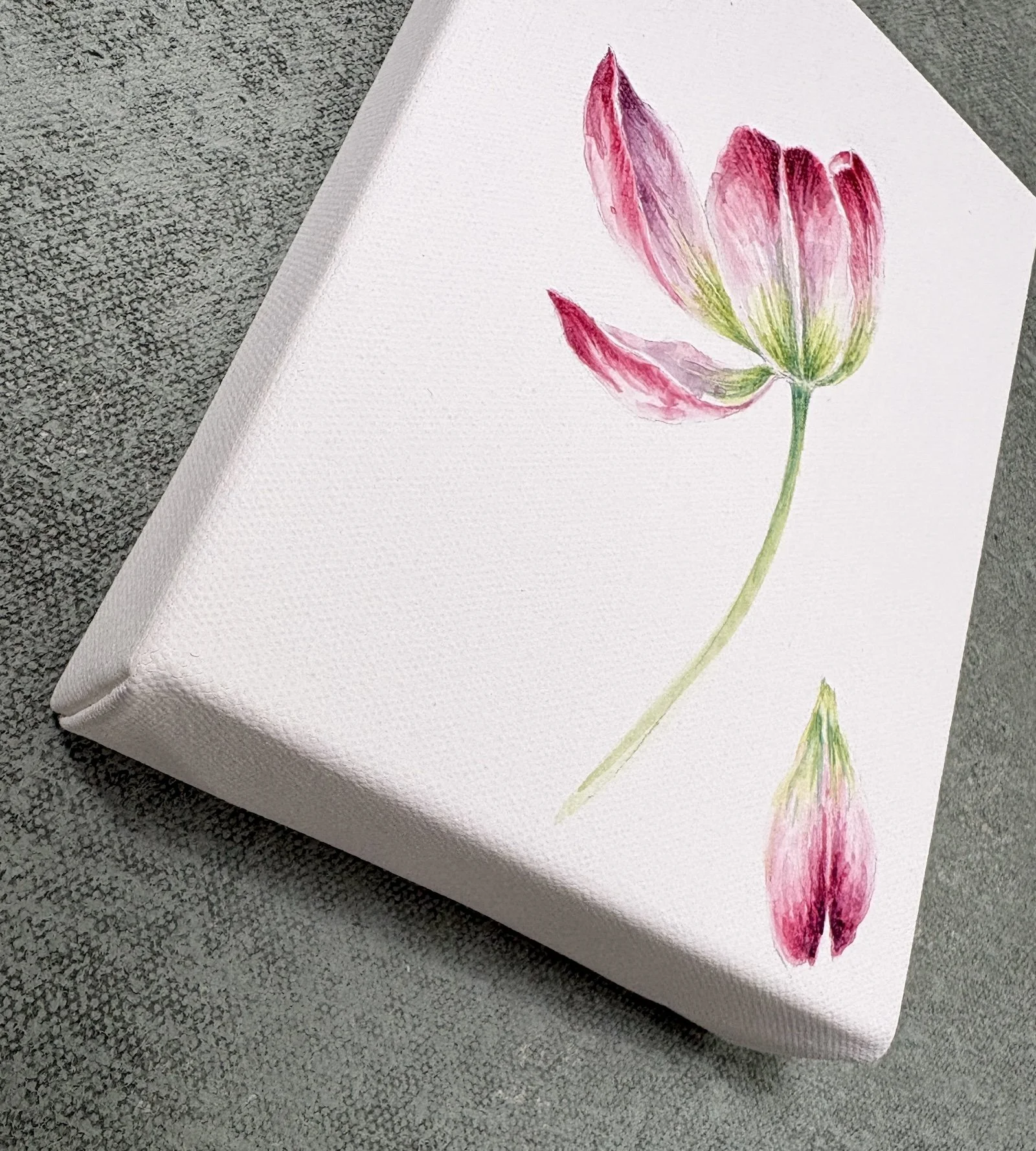 TULIP II SIDE.jpg