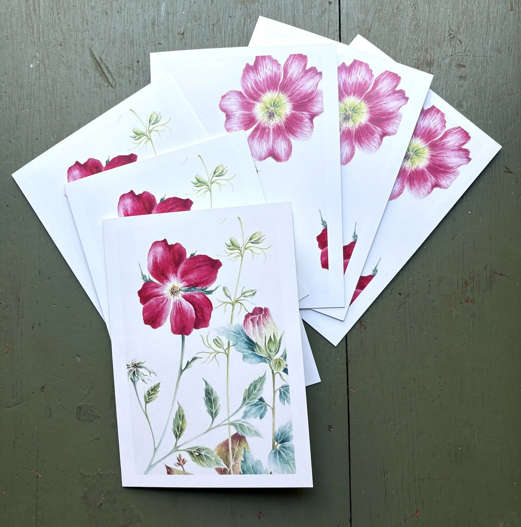 garden of the soul botanical cards.jpg