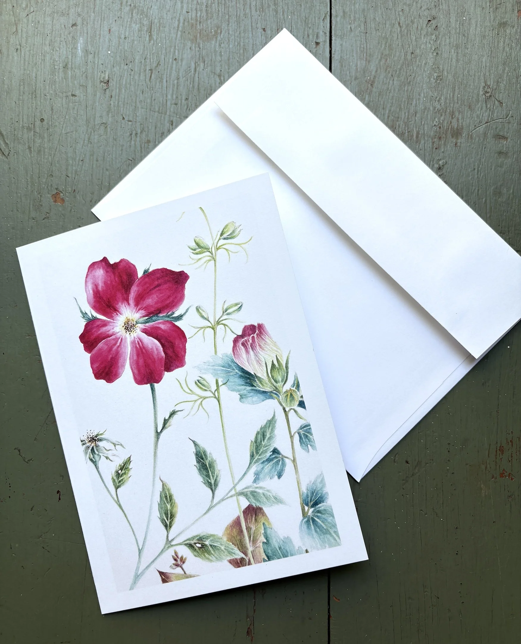 notecard1.jpg