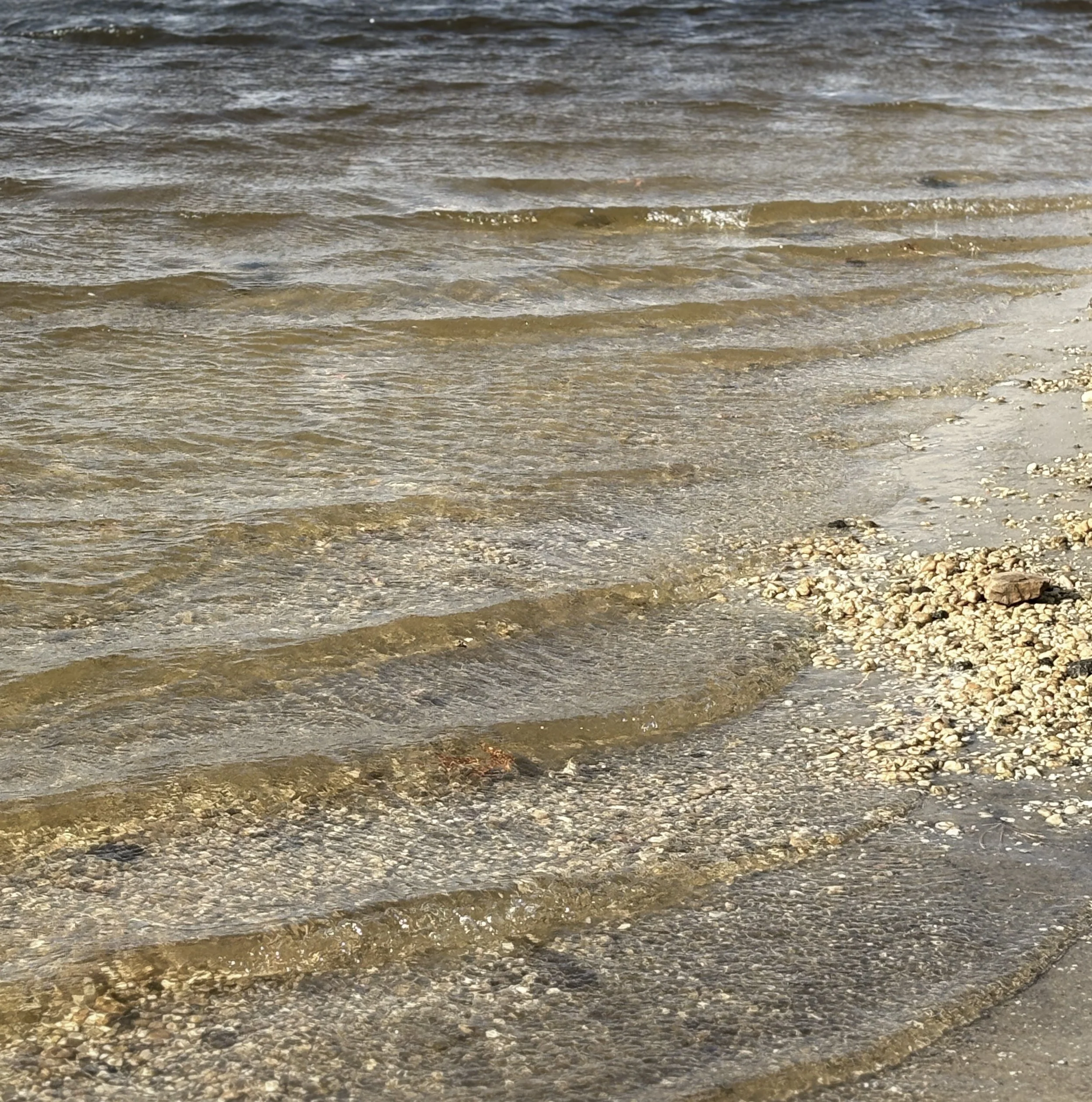 Close-up of shallow water with small waves on a sandy beach, showing pebbles and shells along the shoreline.