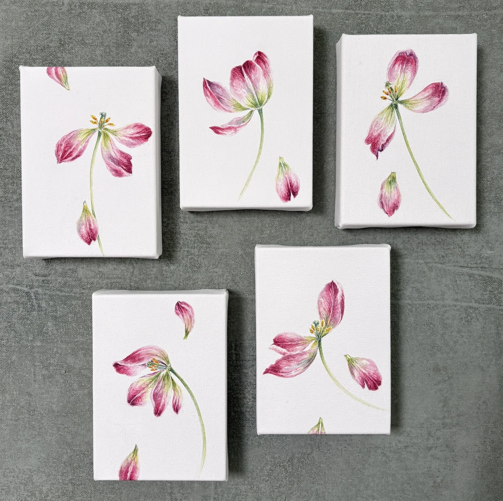 TULIPS ALL.jpg
