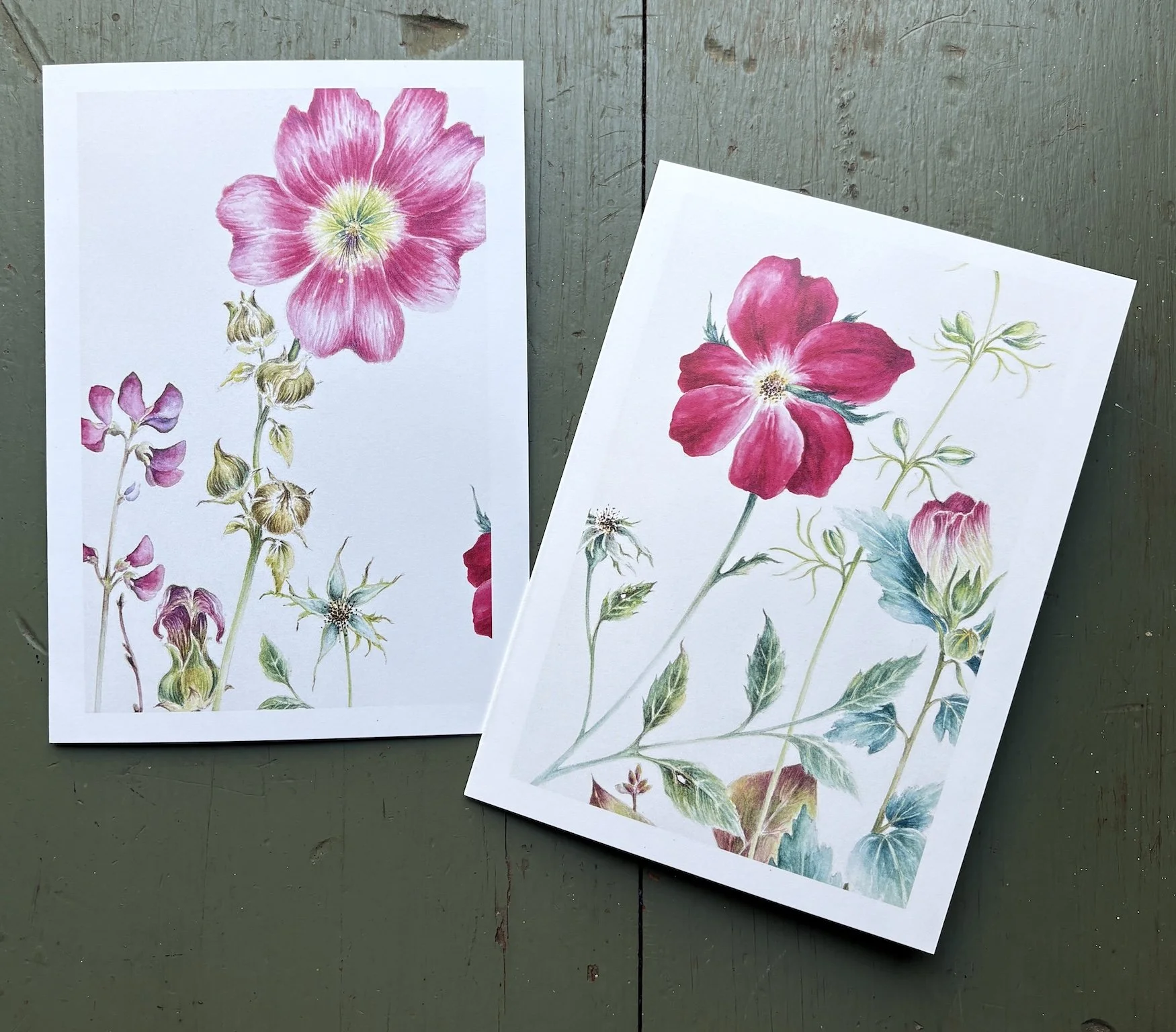 botanical notecards.jpg