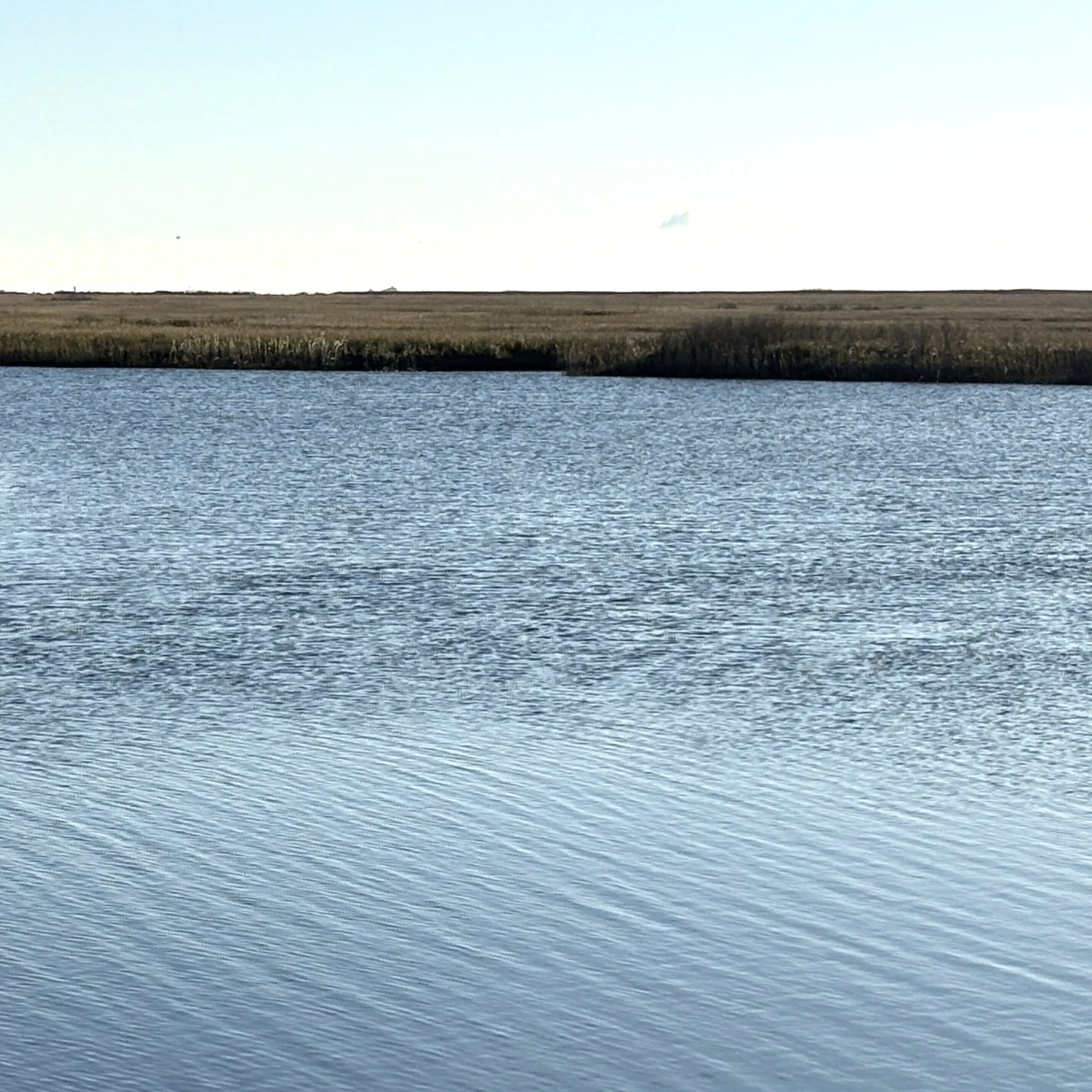Calm estuary of water with grassy land meadows in the background.