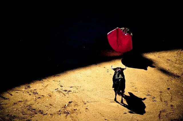 Photograph by Giovanni Calia