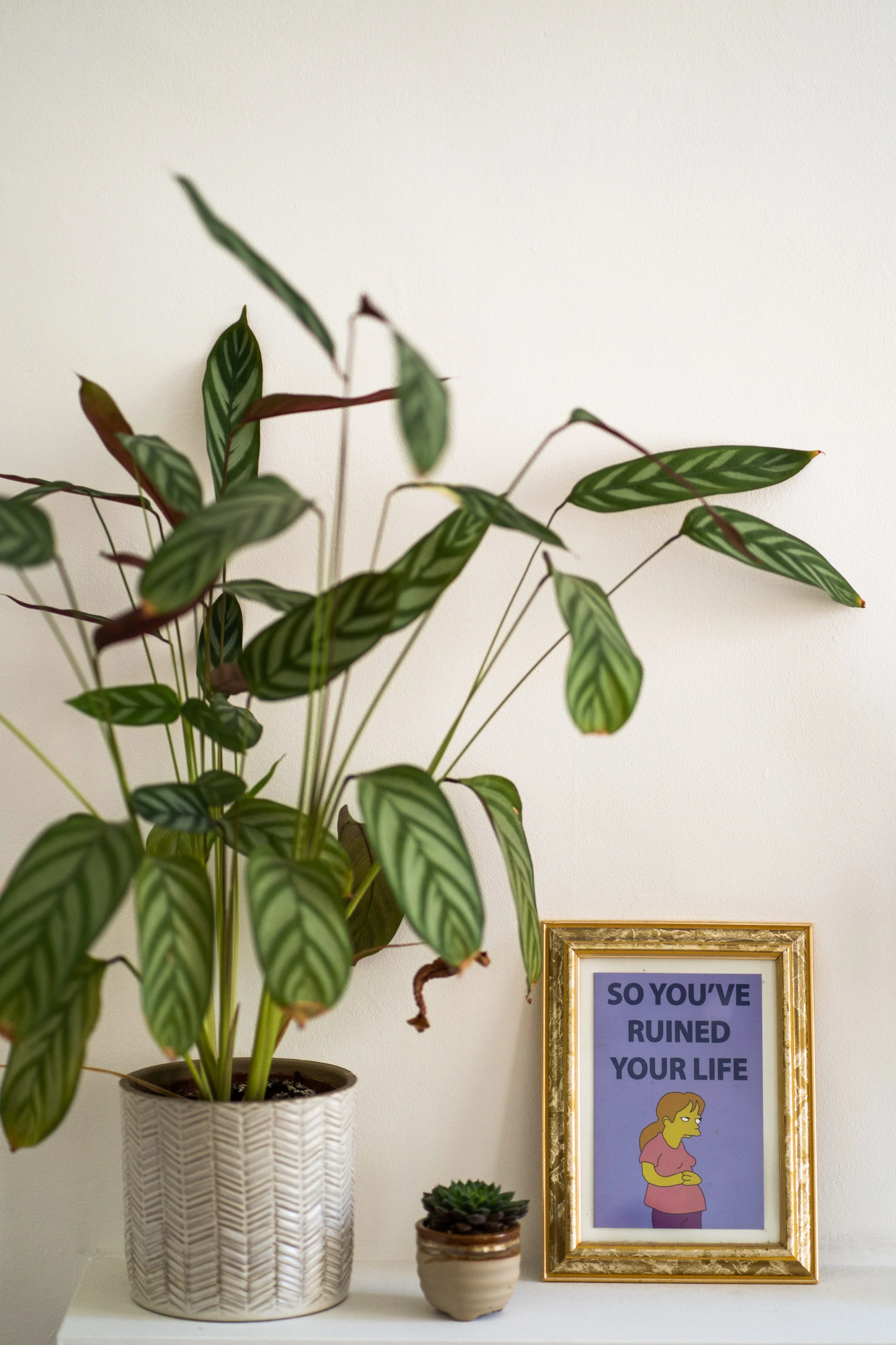 Angie+Chris+Bump-ClaudiaRoseCarter011.JPG