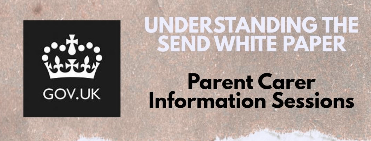 Understanding the SEND White Paper