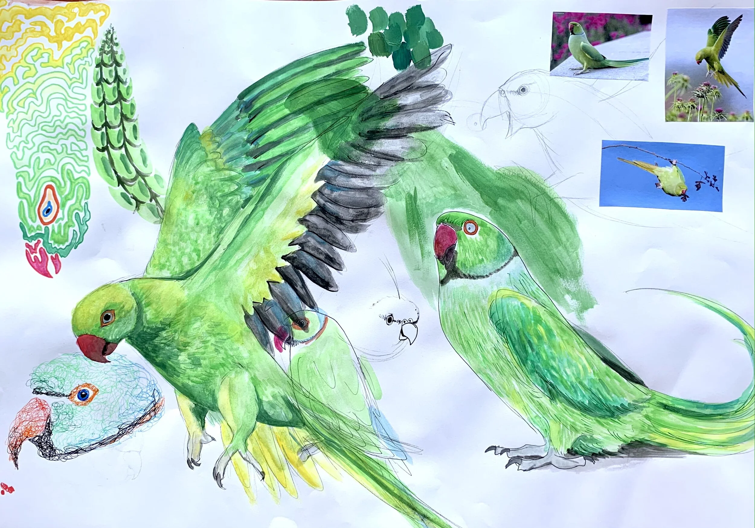 IMG_6211 - Ella King.JPG