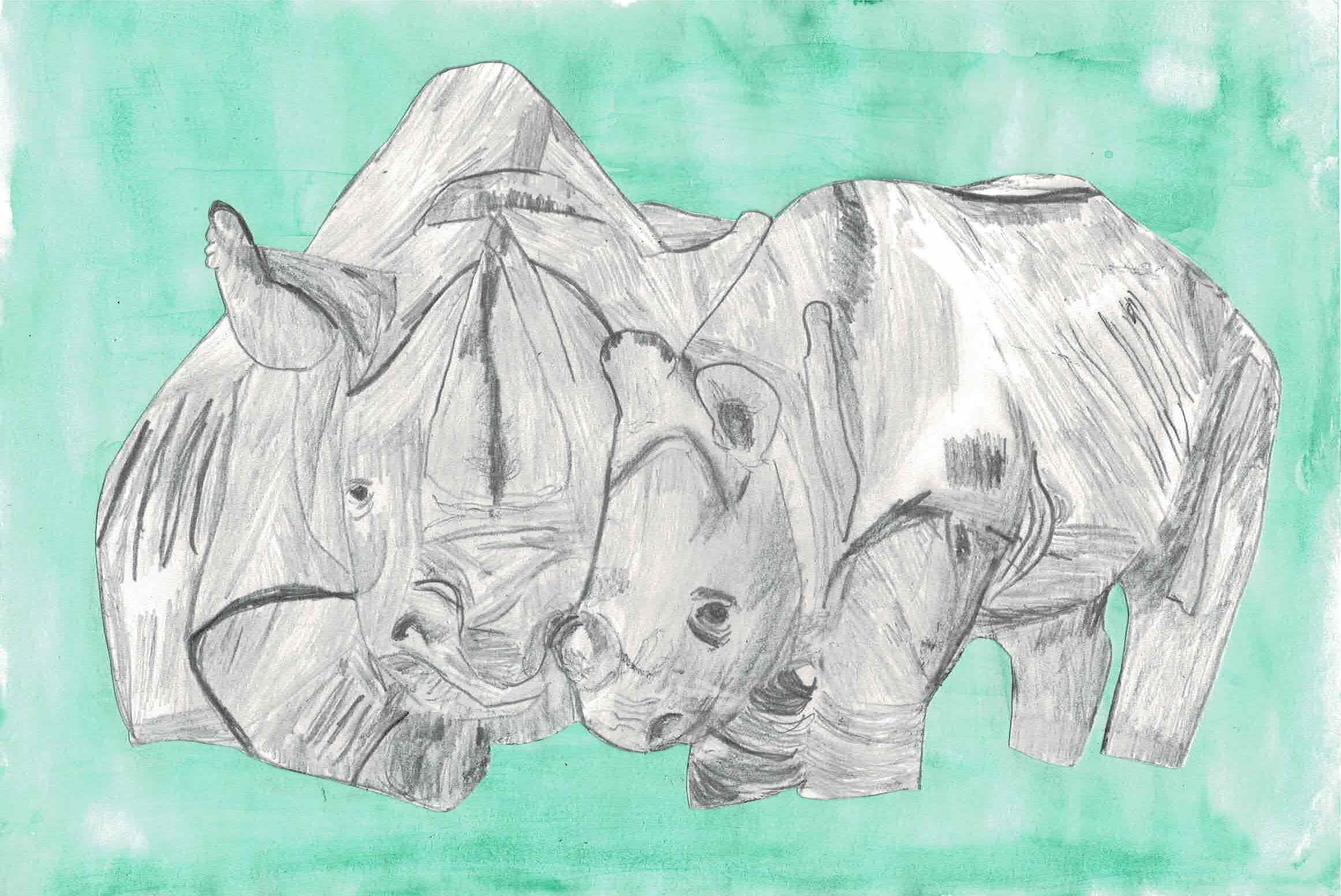 FMP Few rhinos - 20 May.jpeg