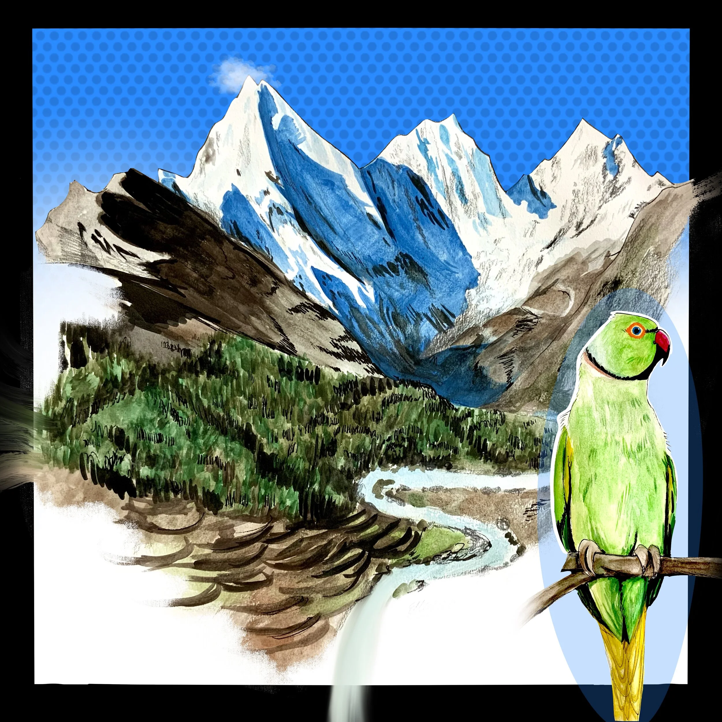 IMG_1325 - Ella King.JPG