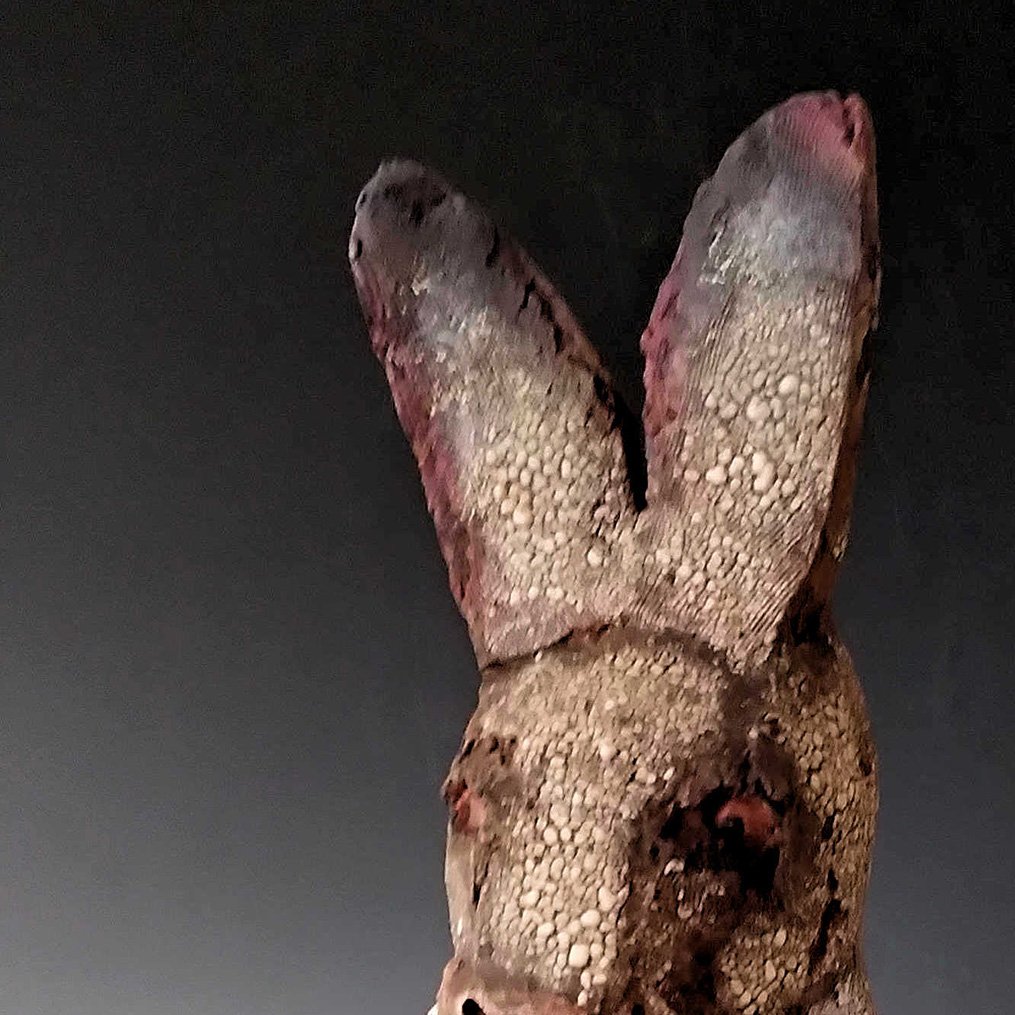 Rabbit with White Tipped Whiskers