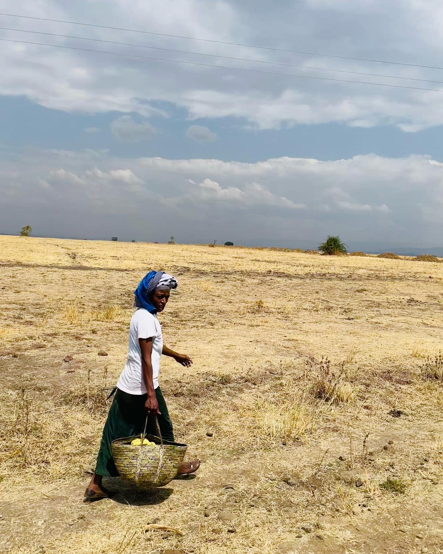 A thousand miles of solitude #welkite #ethiopia