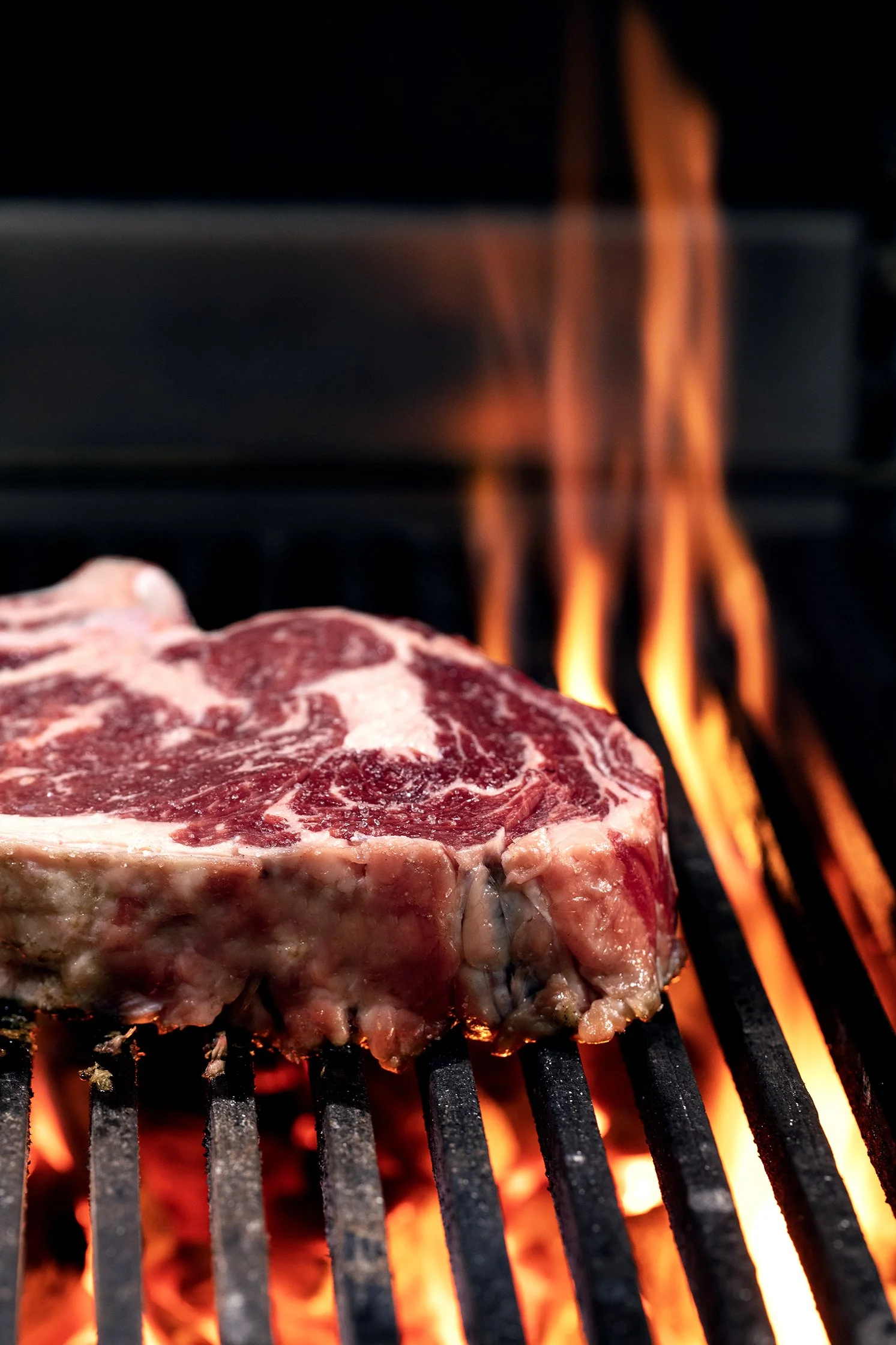 CLOVER GRILL — Jean François Piège