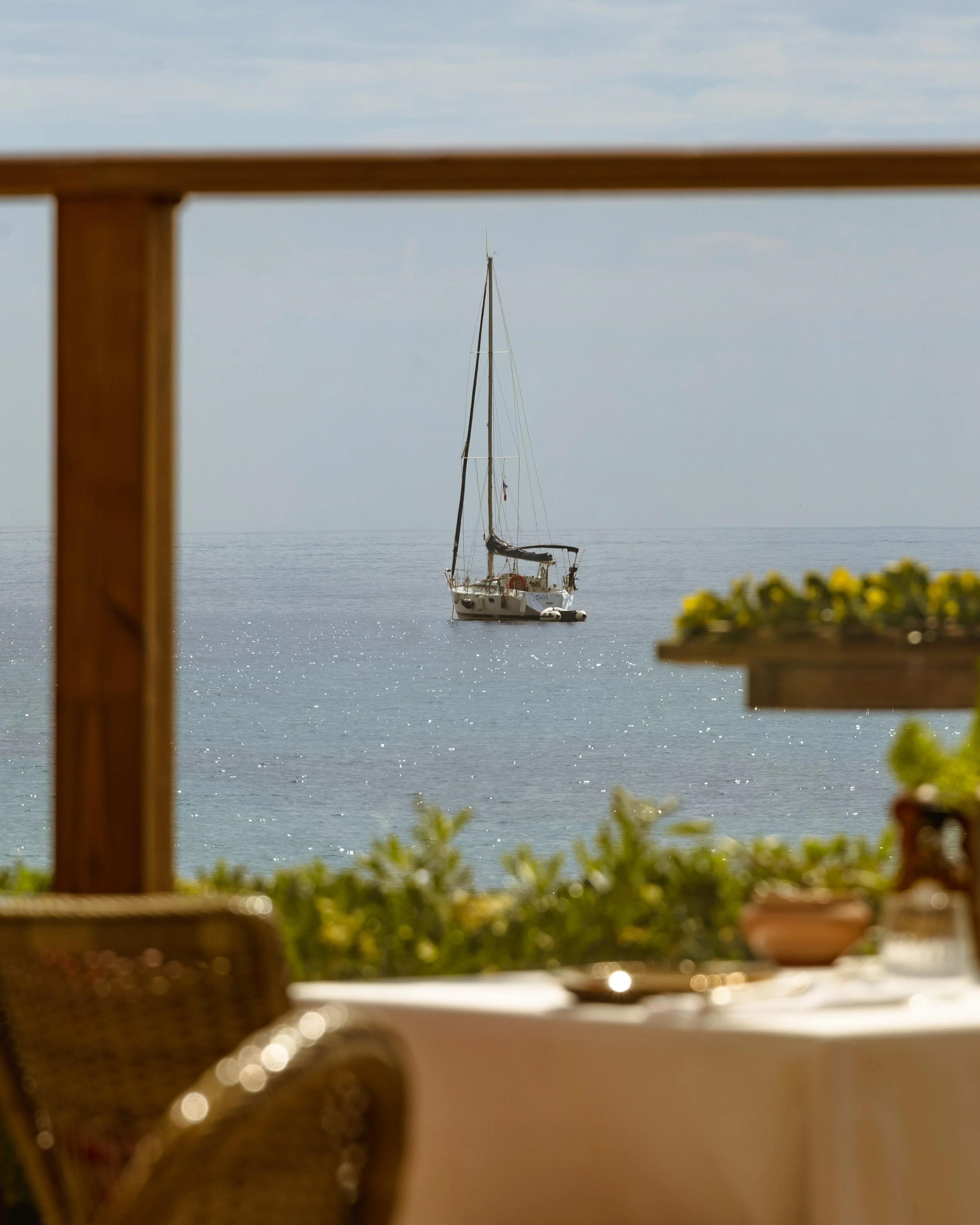JARDIN TROPEZINA x MAXIME MORENO PHOTO 3.jpg
