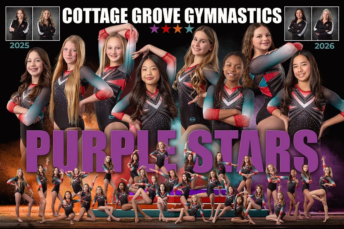 Purple Stars poster.jpg