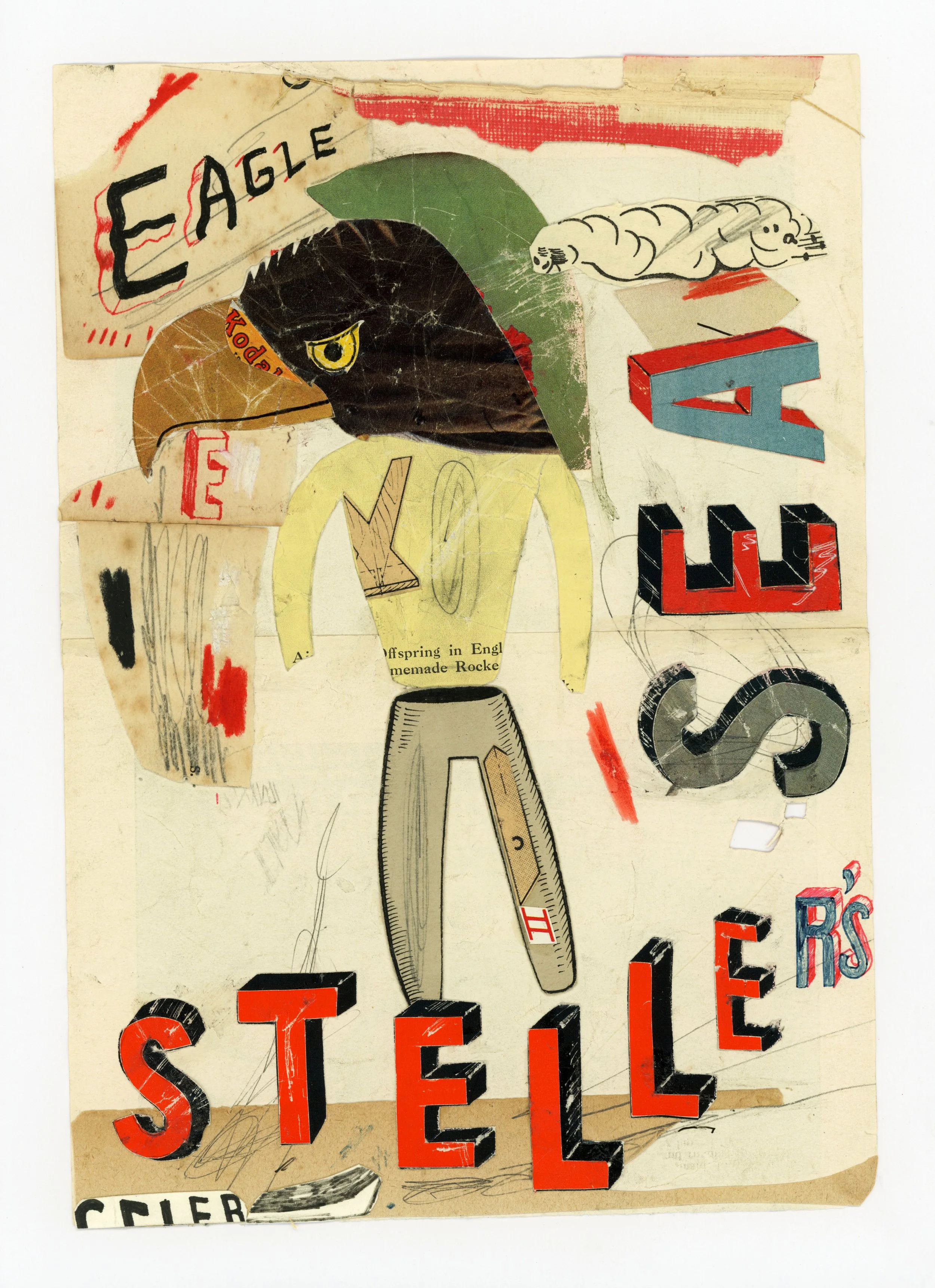 Mark Timmins_Stellars_Sea_Eagle_mark_timmins77.jpg